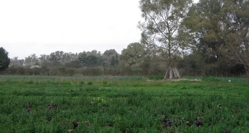 Imagen 4 de 13 de Terreno - Villa Astolfi