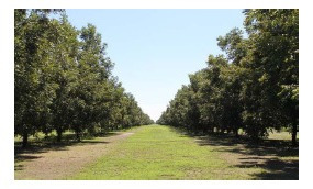 Imagen 2 de 7 de Se Venden 4 Terrenos, Chihuahua