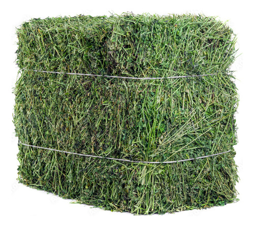 Paca Grande De Alfalfa 35 Kilos Aprox Alta Calidad