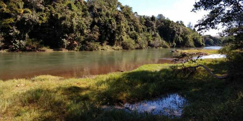 Imagem 8 de 15 de Terreno-à Venda-alto Ipiranga-mogi Das Cruzes - Bilt00054