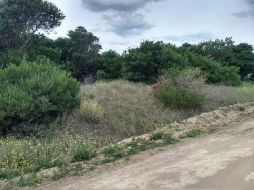 Terreno En Venta - 1.125mts2 - Balneario Marisol, Coronel Dorrego
