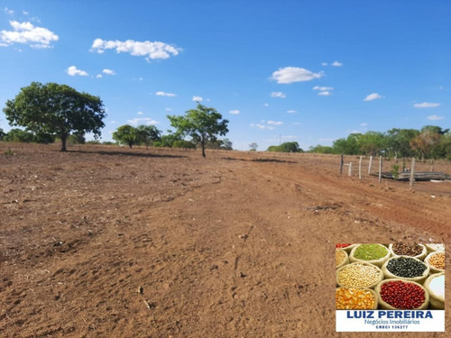 Fazenda À Venda Em Dueré/vale Do Araguaia -to - (dupla Aptidão) - 1537