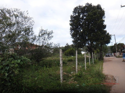 Imagem 10 de 10 de Excelente Terreno Na Cachoeira Do Bom Jesus Com Viabilidade Para Loteamento E Condomínio - V-3037