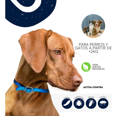 2pack Collar Antipulgas Premium