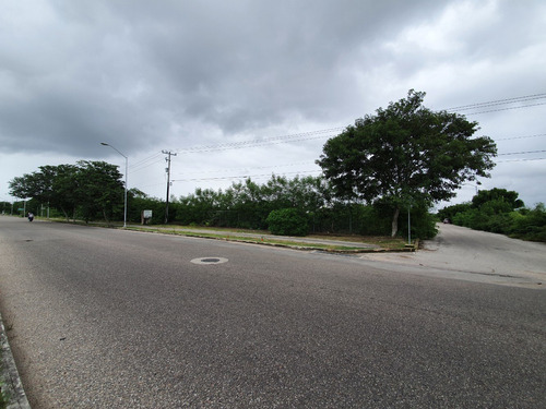 Imagen 2 de 11 de Terrenos En Venta Sobre Avenida En Calle 70 De Caucel