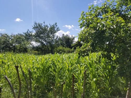 Imagen 8 de 11 de Se Vende 3 Lotes Colonia Carrillo