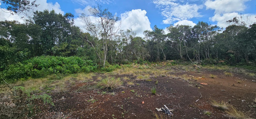 Venta De Lote En Guarne Antioquia Vereda Piedras Blancas