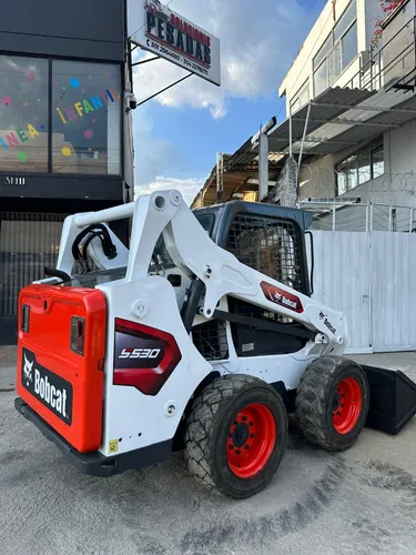 Bobcat