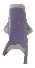 Moletom Pet Com Pernas Tam 8 - Roupa Pet - Roupinha Cachorro