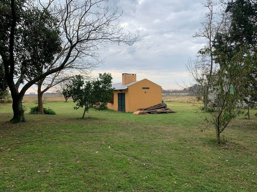 Imagen 13 de 19 de Venta - Hermosa Chacra De 8,7 Hectareas