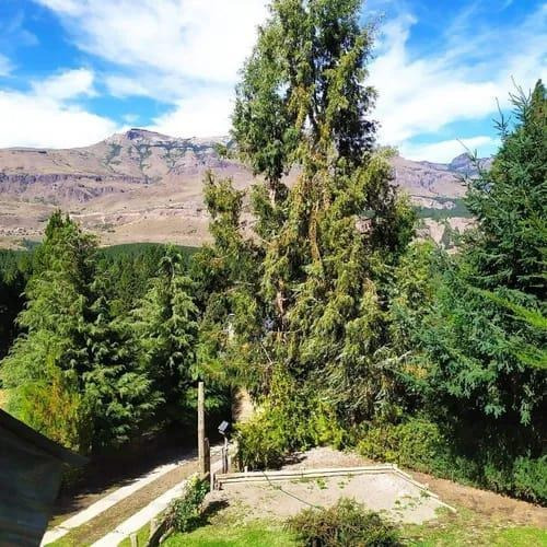 Imagen 11 de 13 de Susana Aravena Propiedades-excelente Casa En Venta En Rucahue
