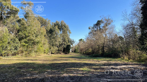 Lote En Venta En Aires De Hudson, Etapa 2. Con Financiación. Hudson