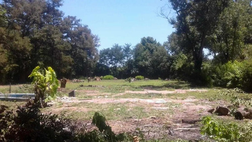 Imagen 1 de 3 de Terreno - Pilar Centro