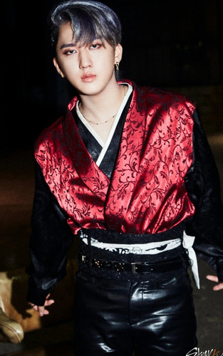 Stray Kids The 1st Album Repackage Photocards 10 Piezas
