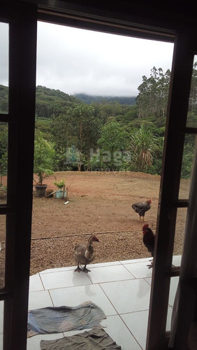 Imagem 15 de 30 de Chácara Rural A Venda Em Ilhota/sc - 1684c