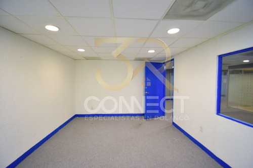 Oficina En Renta En Anzures 6c/2b/1e - Excelente Ubicación - 178m2