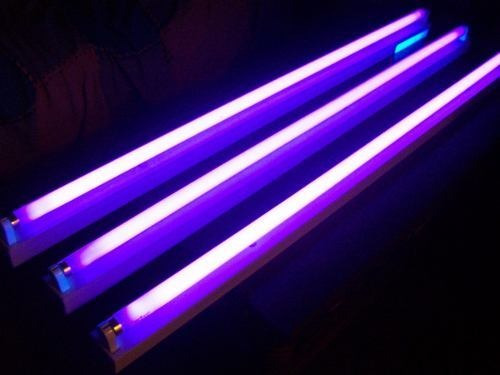 Tubo Luz Negra Corto 60cm 20w - Lámparas Uy