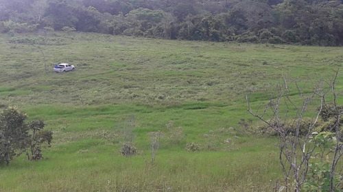 Imagen 6 de 18 de Hermosa Finca De 170has, En Yaracuy, Emss Vende