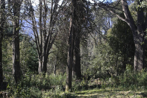 Imagen 11 de 17 de Venta Lote De 1005 M2 En Las Balsas, Villa La Angostura - L73e