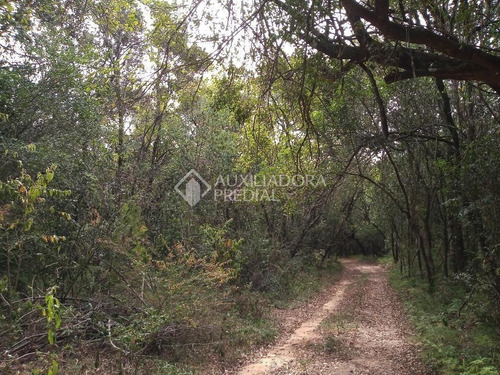 Imagem 7 de 11 de Terreno - Centro - Ref: 233072 - V-233072