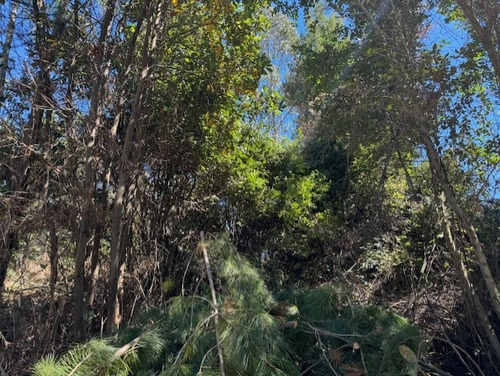 Loteo/parcelas Nonguén A Pasos De La Reserva