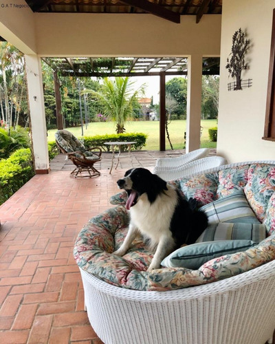 Imagem 6 de 12 de Chácara Para Locação No Jardim Josane - Sorocaba/sp - Ch00822 - 70832897
