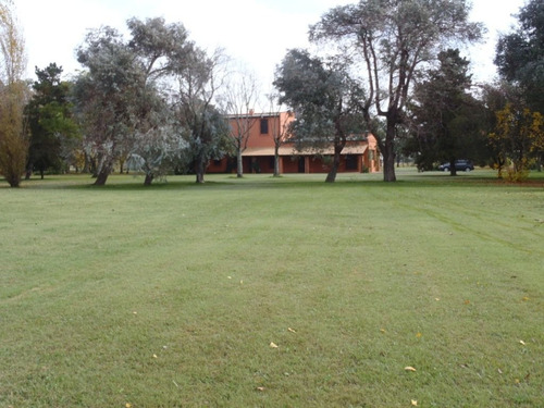 Imagen 6 de 16 de Campo En Alquiler En San Antonio De Areco