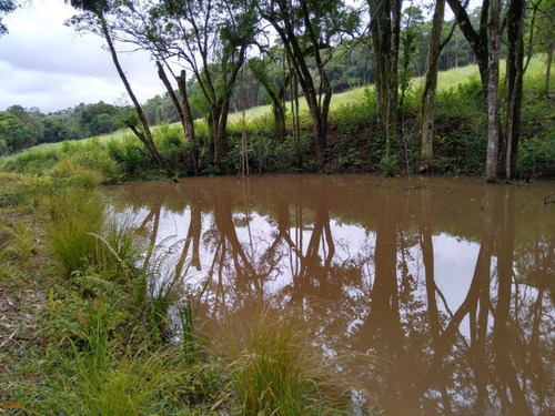 E.p Terrenos Em Ibiuna-sp, Para Formação De Chácaras.