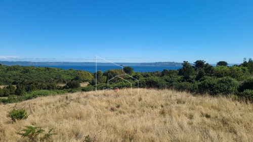 Chiloe, Isla Quenac, Proyecto Laguna Quenac