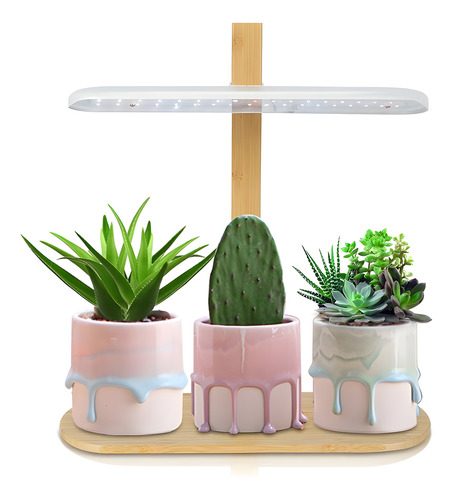 Lámpara De Crecimiento Para Plantas De Mesa Con Diferentes A