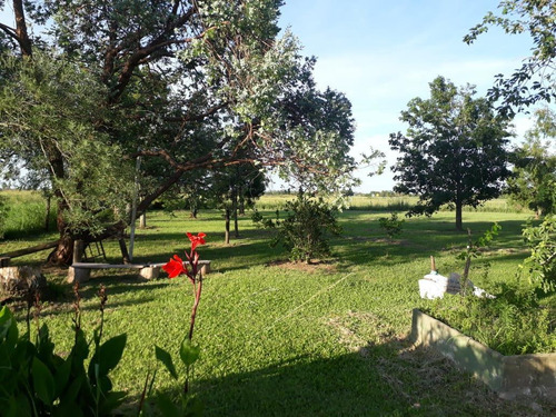 Imagen 5 de 11 de Casa - Arroyo Aguiar