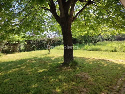 Imagen 23 de 24 de Terreno Fraccion En Venta O Permuta Ubicado En General Rodríguez, G.b.a. Zona Oeste