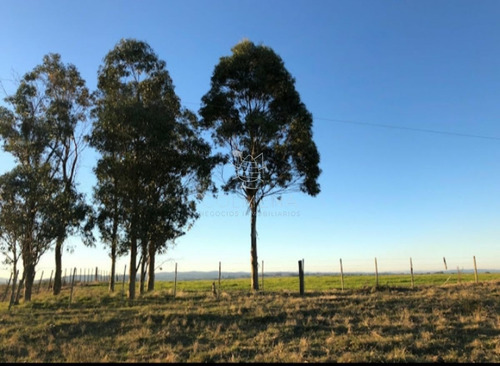 Imagen 19 de 29 de Campo En Jose Ignacio - Jose Ignacio