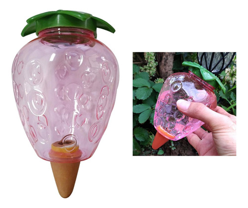 Dispositivo De Auto-rega De Plantas Estacas De 500ml Morango