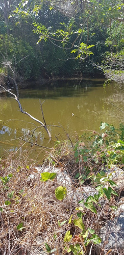 Finca Ganadera De 1370 Tareas Ganadera En San Cristobal Recibo Parte En Permuta De Apartamento Santo Domingo Centro Y Vehiculos