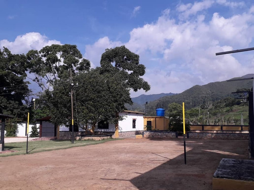 Imagen 10 de 30 de Finca En Bejuma Reyes Arriba