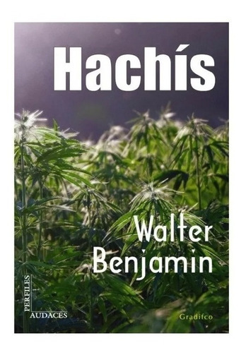 Hachis - Walter Benjamin - Libro Nuevo