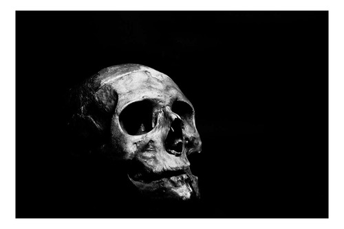 Vinilo 30x45cm Calavera De La Muerte Antigua Skull P2