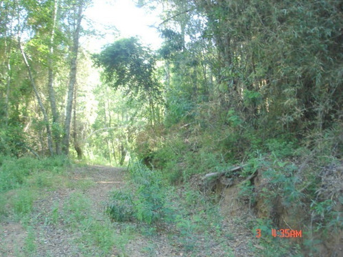 Imagen 15 de 21 de Camino Nonguen S / N , Sector Reserva De Nonguen Concepc...