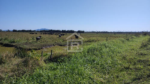 Imagem 19 de 30 de Fazenda Localizada Em Iguape- Sp Com 280 Alqueires - 262 - 71153412