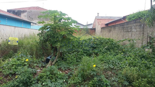 Imagem 5 de 5 de Excelente Terreno, 10 X 25m, Rua Sossegada, Ótima Vizinhança. - V10132454