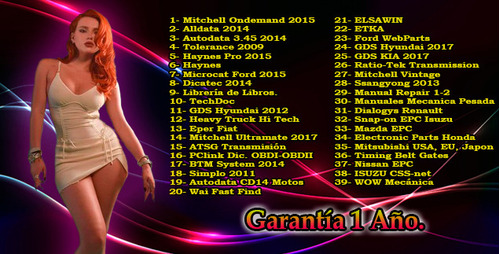 Mitchell 2015 + 39 Programas Mecanica Version 2023