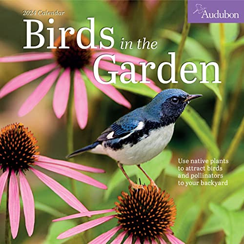 Book : Audubon Birds In The Garden Wall Calendar 2024 Use..