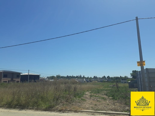 Imagen 2 de 5 de Vendo Terreno