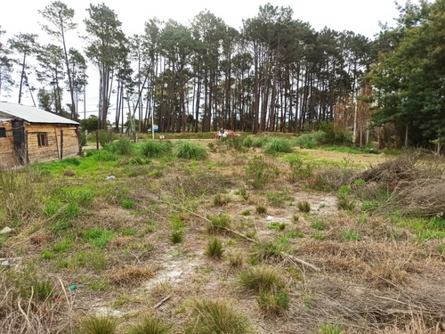 Terreno A La Venta En Pinamar Norte || 53 Años De Sólidos Derechos Posesorios