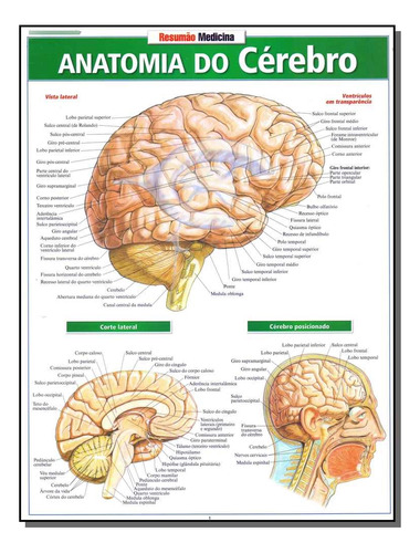 Resumao Medicina - Anatomia Do Cerebro: Resumão - Anatomia Do Cérebro, De Perez, Vincent. Série Medicina, Vol. Anatomia. Editora Resumao, Capa Mole, Edição Anatomia Em Português, 20