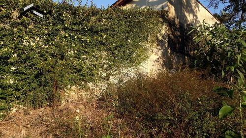 Imagem 8 de 15 de Ótimo Terreno Em Condomínio Fechado Em Caucaia Do Alto - Cotia - 294