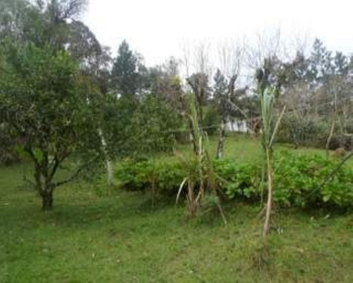Chacara - 03407 - 33228877