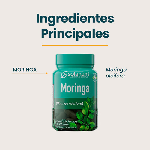 Moringa + Té Verde 60 Cápsulas Veganas Solanum Línea Herbal Sin Sabor