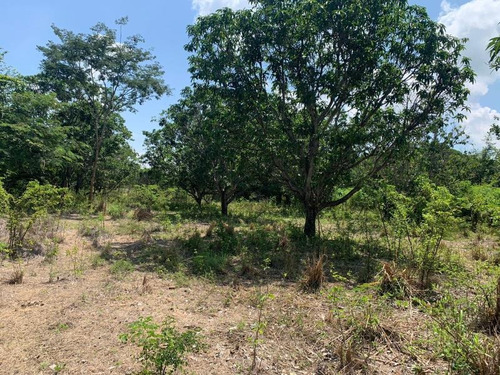Imagen 7 de 12 de Terreno En Venta Rivera Cupia